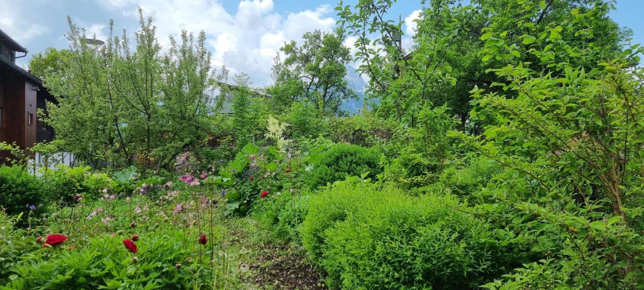 Apartements Breitenwang Reutte Kültér fotó